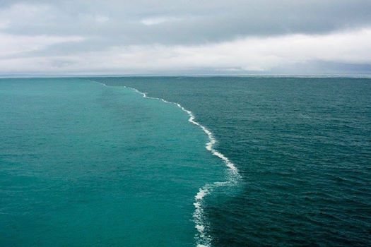 Il meraviglioso incontro del Bar Baltico con Mare del Nord: due rive che si incontrano ma non si annullano. 