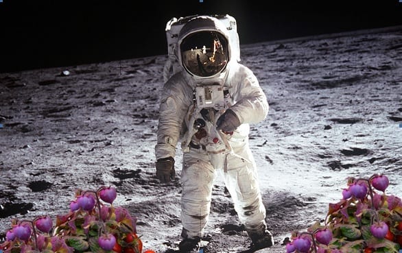 Spazio: verdure fresche in orbita, progetto Enea per l’orto degli astronauti 