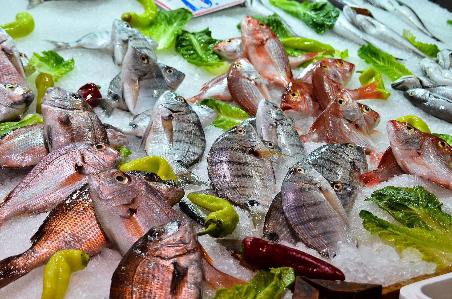 Più consumi di prodotti ittici in Italia, vince il nostro pesce