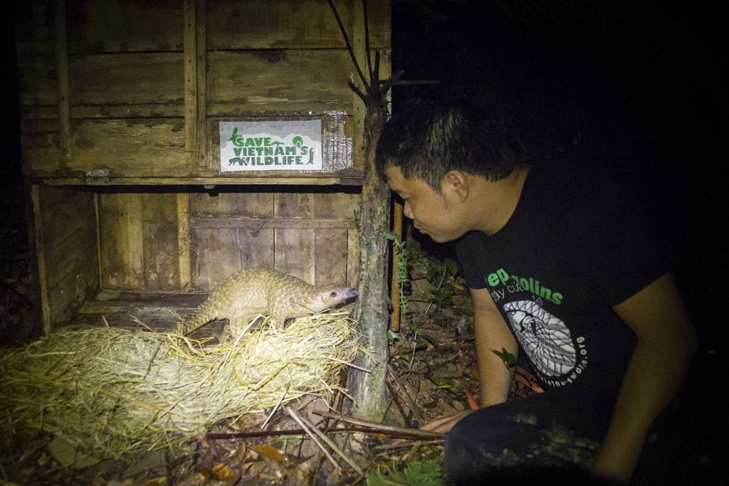 Thai Van Nguyen: il salvataggio degli animali dal bracconaggio a favore della sostenibilità ambientale