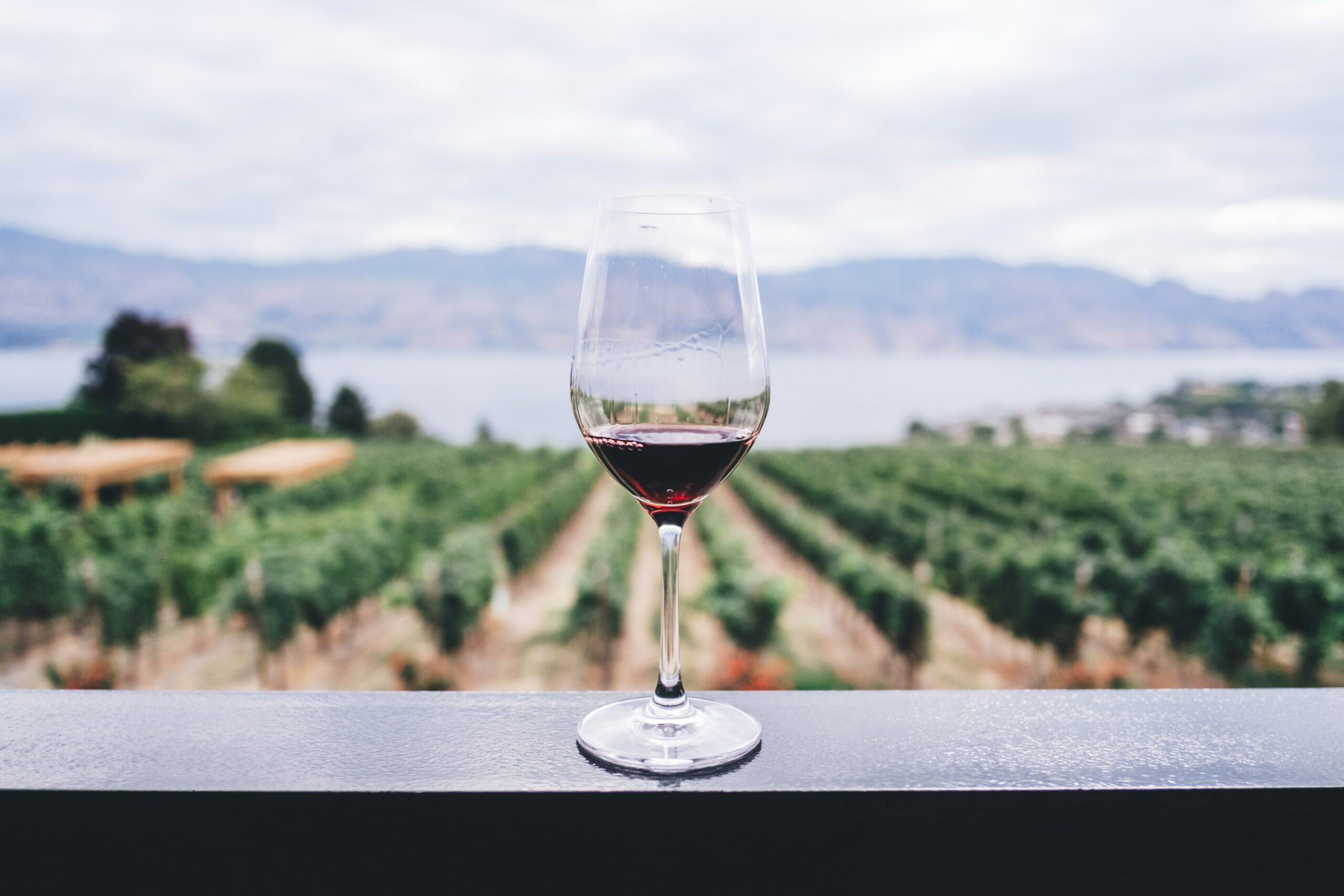 Strade del vino: promuovere in maniera integrata i territori vinicoli