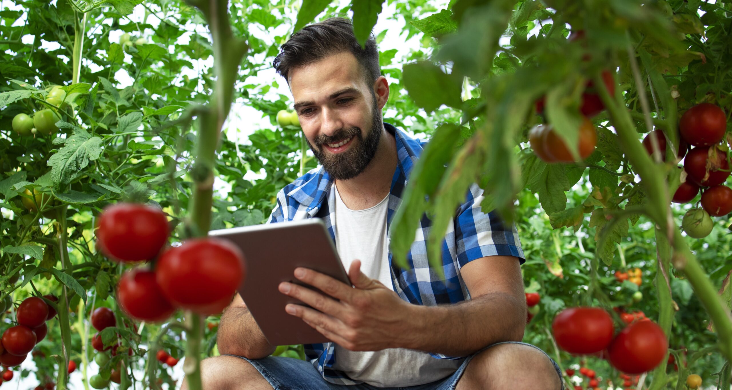 L'innovazione digitale rivoluziona l'agroalimentare grazie allo Smart AgriFood