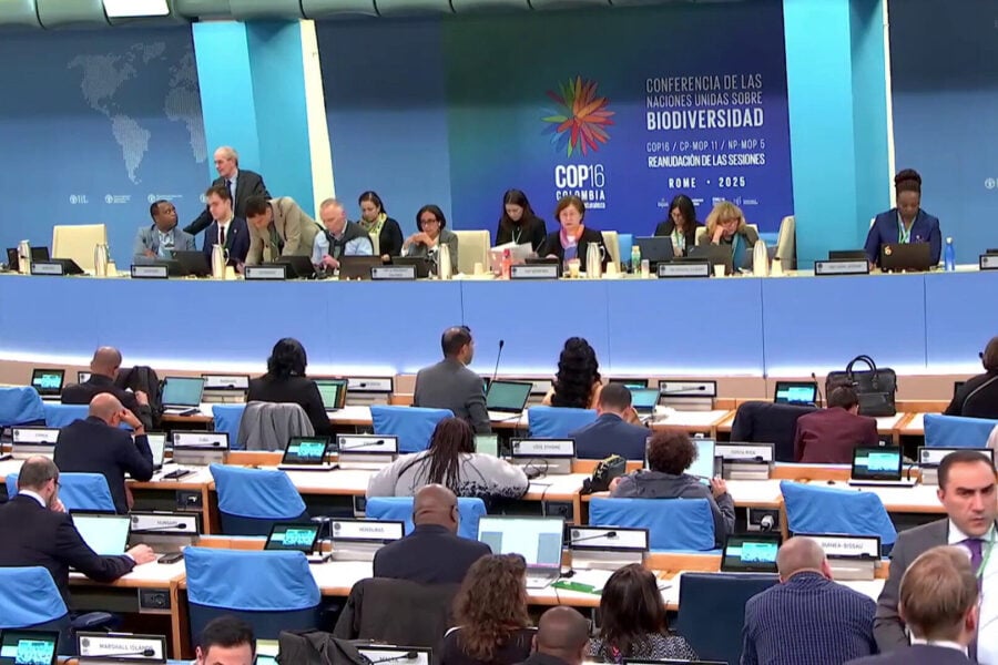 Cop16 Roma.jpeg l'assemblea in plenaria wikimedia commons fonte https://www.italpress.com/