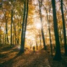 Una persona mentre passeggia nel bosco