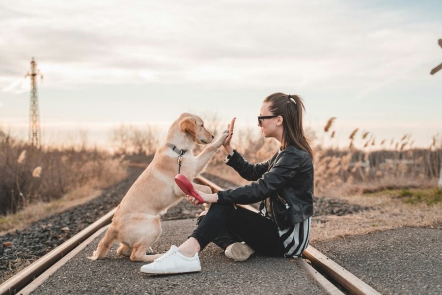 Un cane pu&ograve; parlare pi&ugrave; lingue: l'incredibile storia di una donna di San Diego