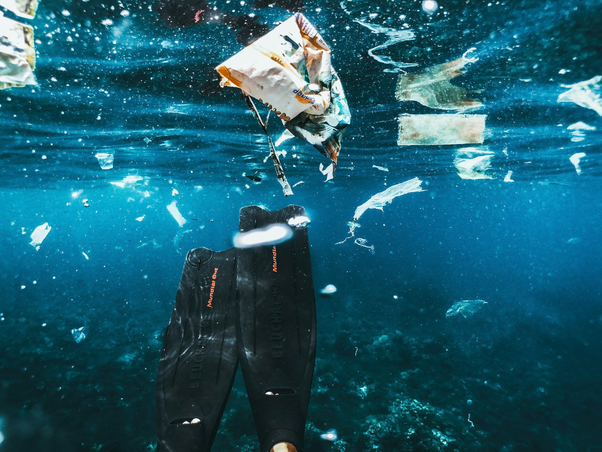 Da pescatore sprecone a raccoglitore di rifiuti: la trasformazione di Sean Bath
