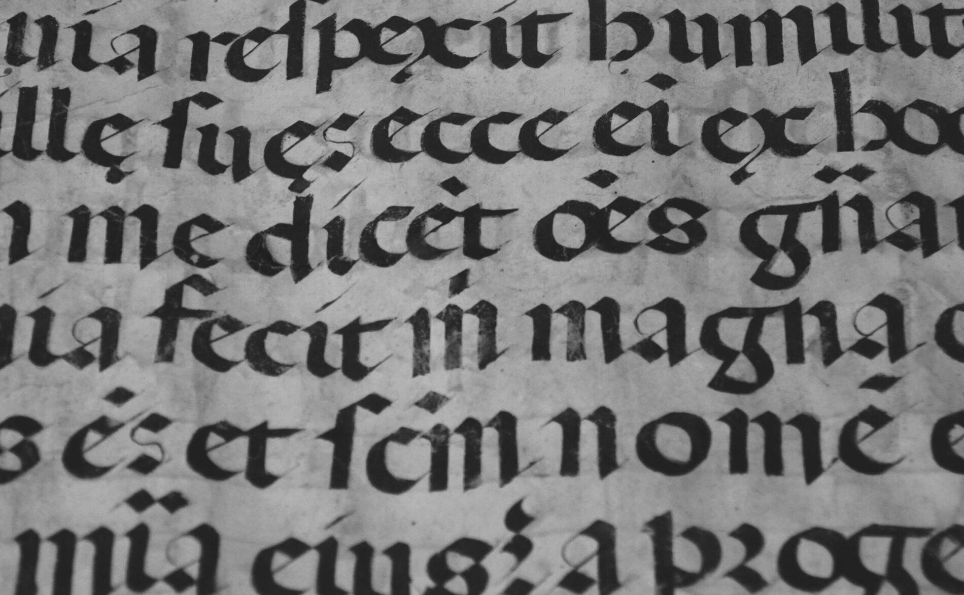 Magna Charta Libertatum: il trattato che ha cambiato la storia d’Inghilterra