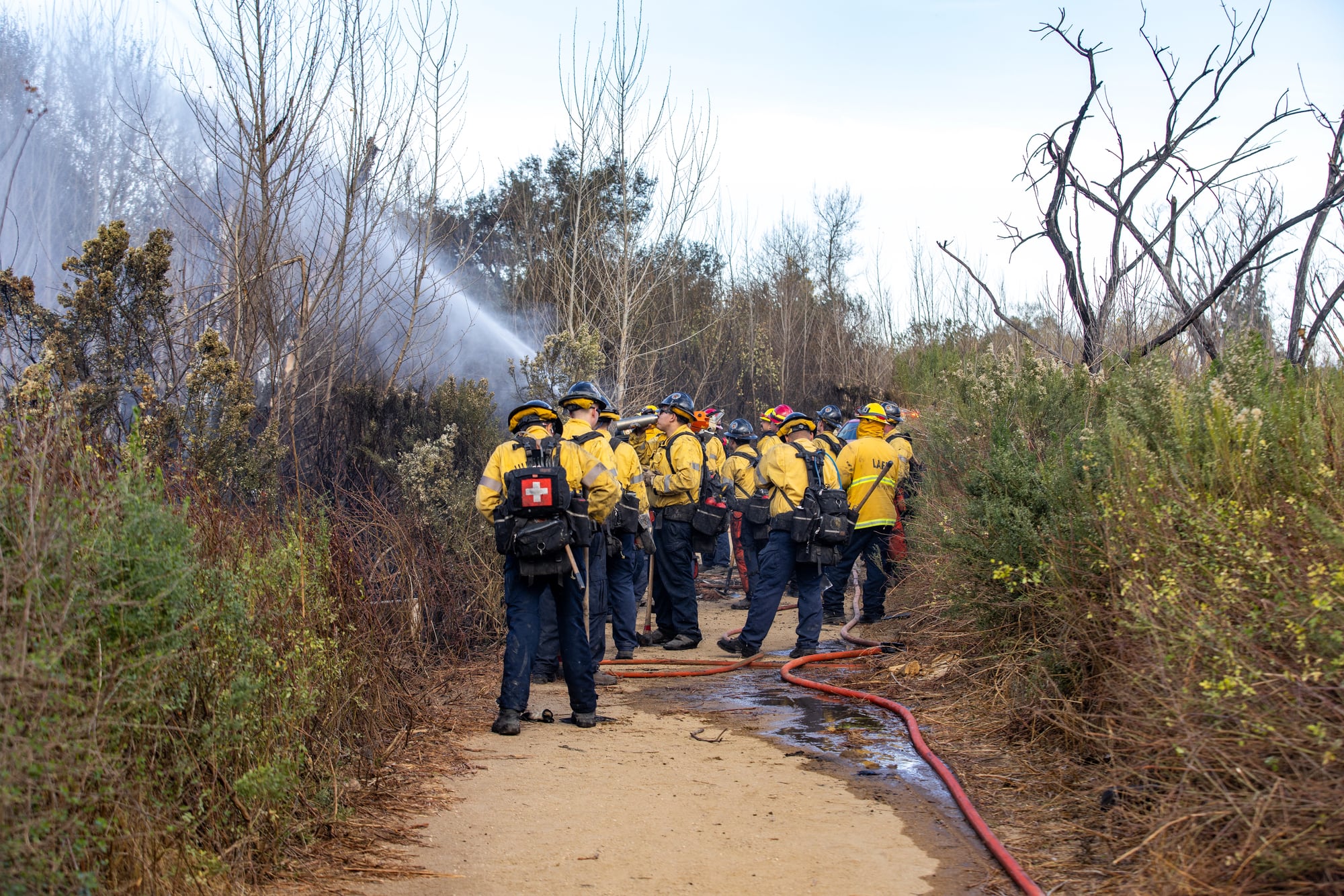 Incendi boschivi: uno studio open source per valutarli e documentarli