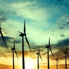 Il coraggio delle aziende: nuovi talenti trasversali per le rinnovabili