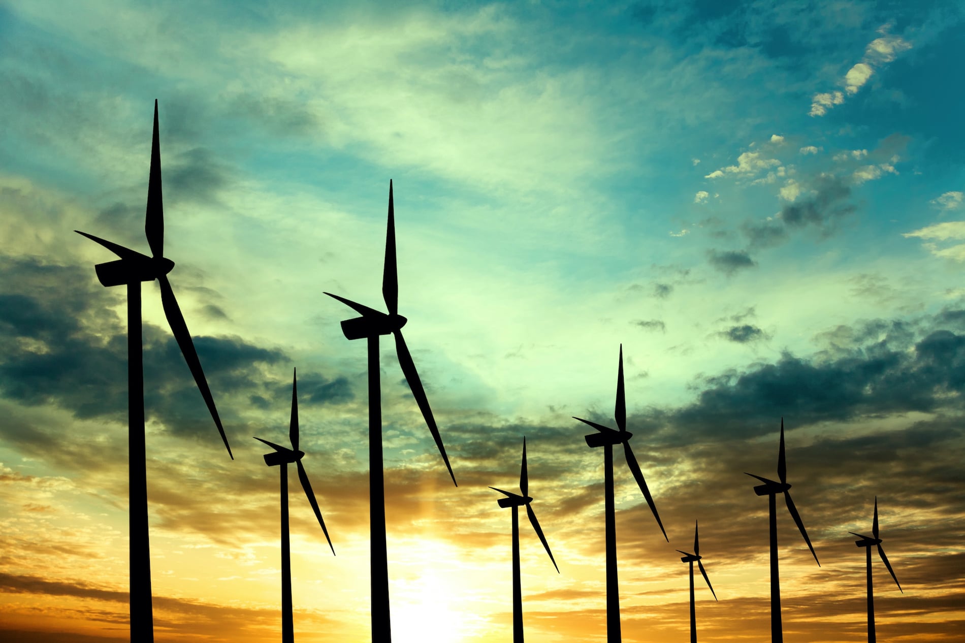 Il coraggio delle aziende: talenti trasversali che innovano le energie rinnovabili