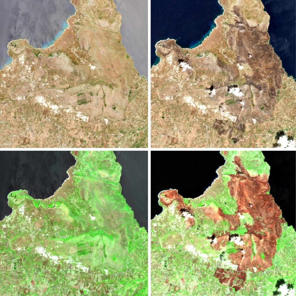 Immagini satellitari di prima e dopo l'incendio che visualizzano la differenza sia con i colori reali che in falsi colori all'infrarosso